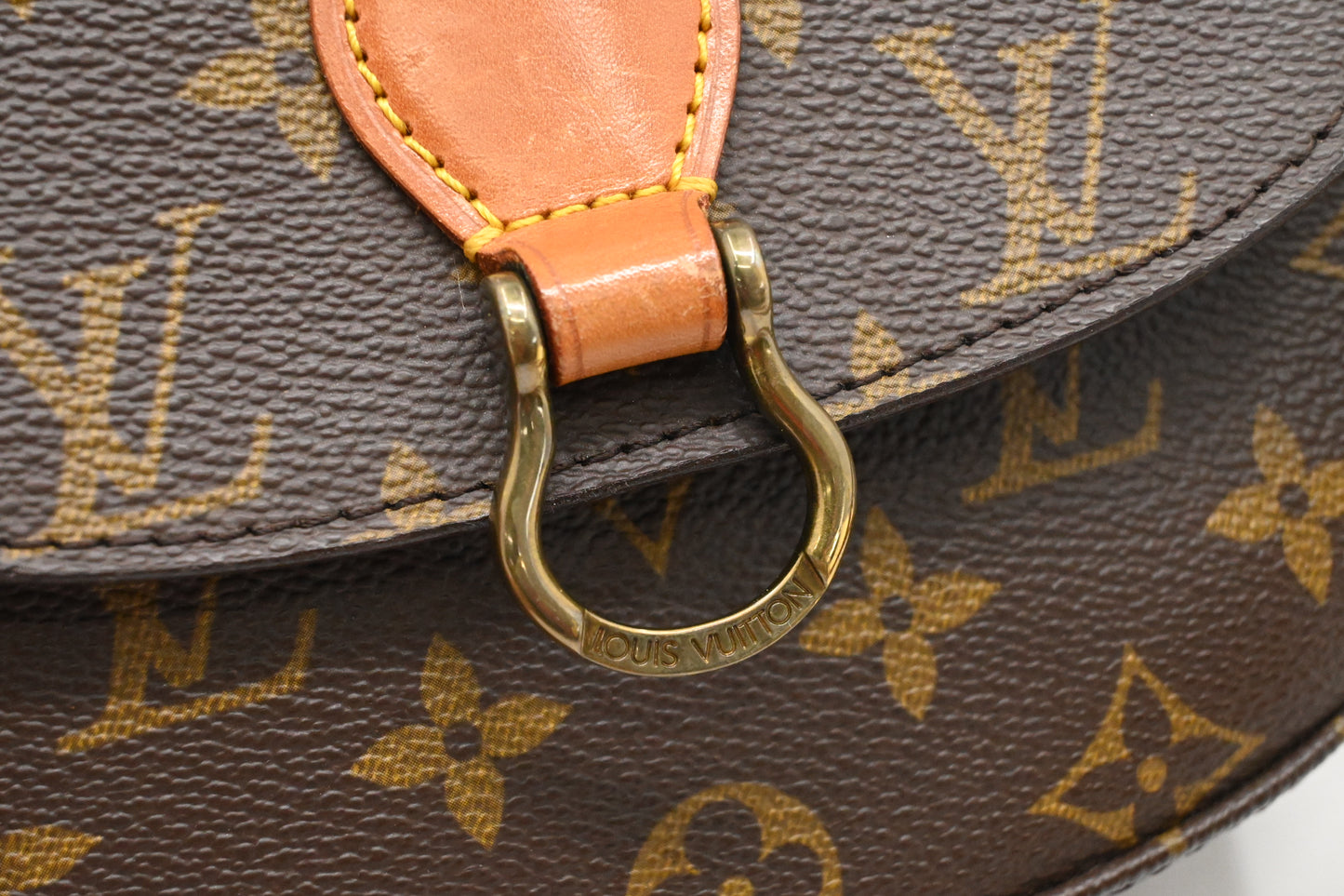 Louis Vuitton Saint Cloud PM in Monogram Canvas