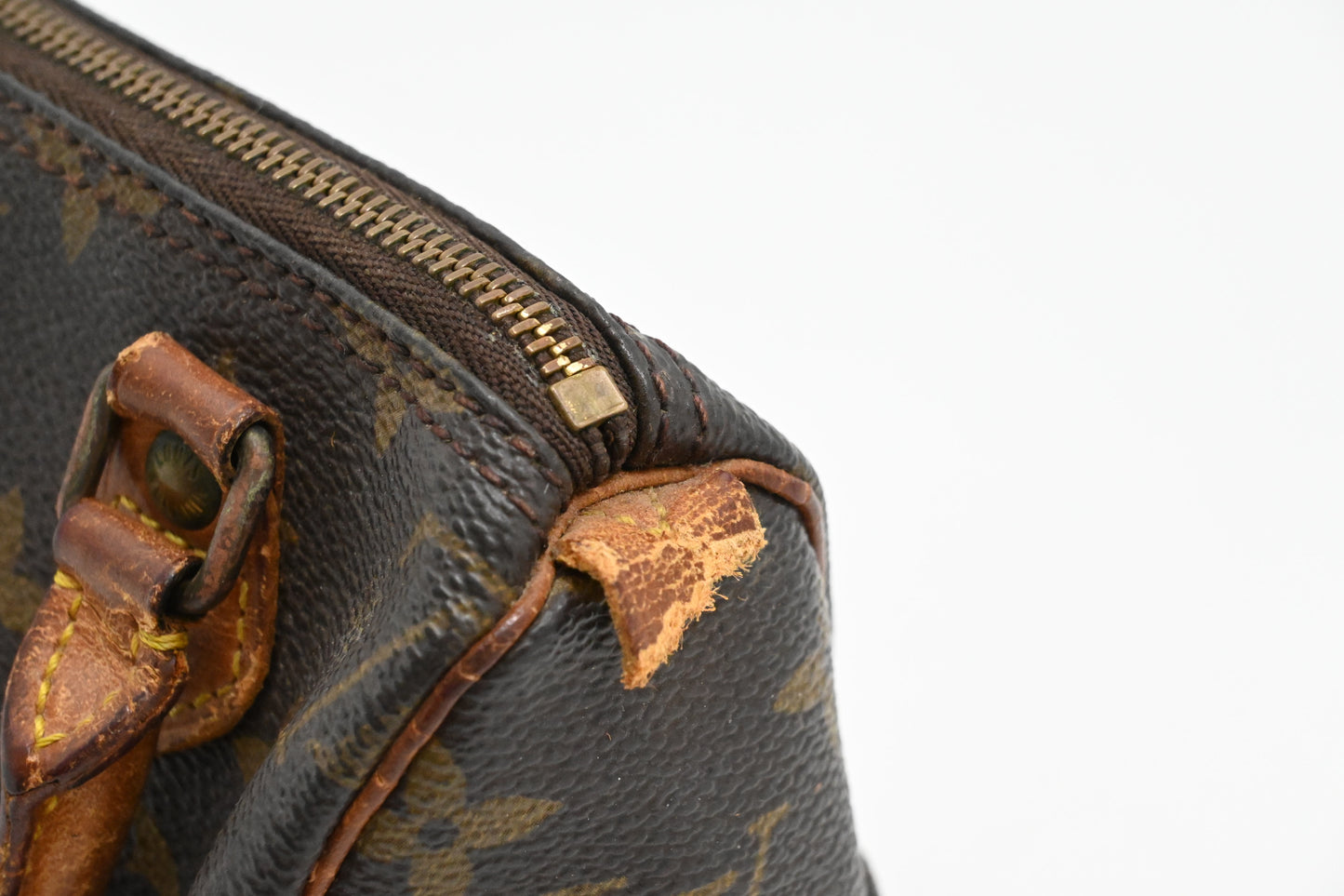 Louis Vuitton Mini Speedy in Monogram Canvas