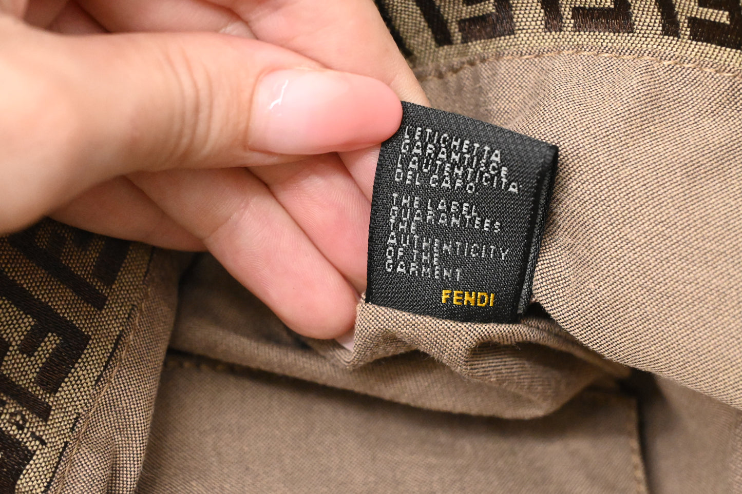 Fendi Handbag in Zucchino Canvas
