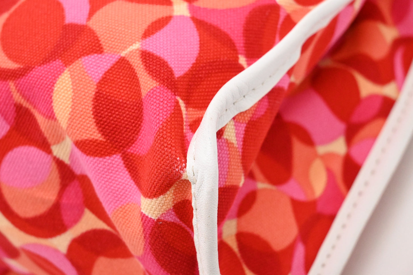 Celine Tote Bag in Red and Pink Canvas and White Leather