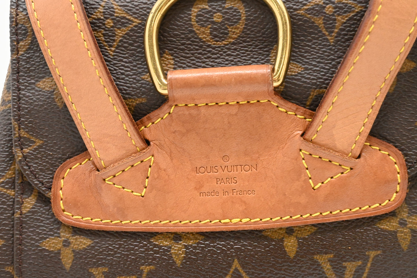 Louis Vuitton Montsouris MM in Monogram Canvas