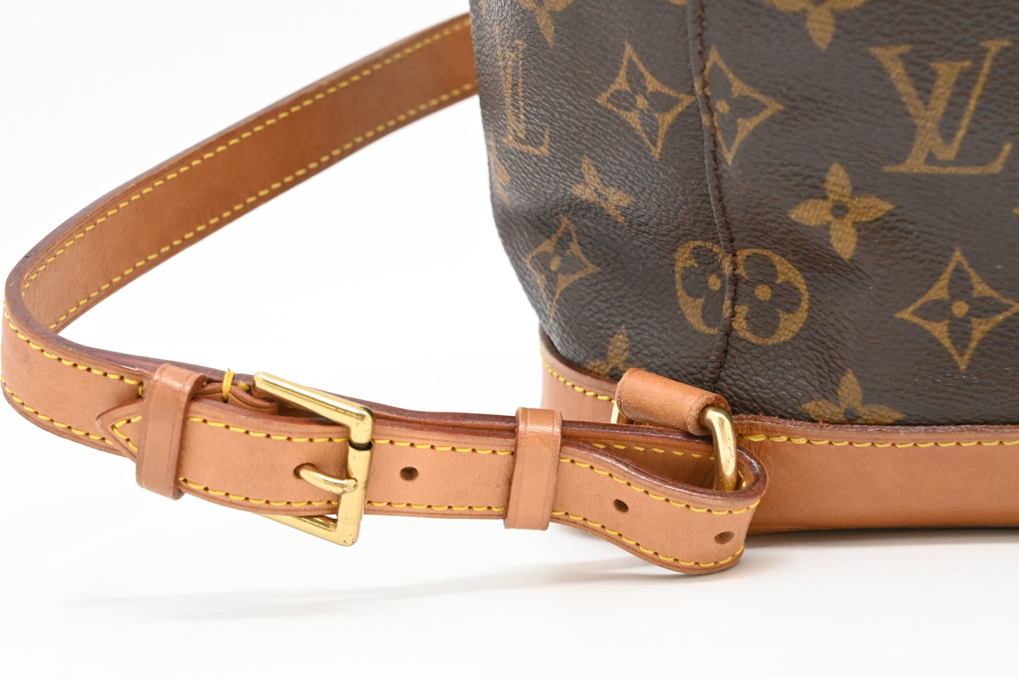 Louis Vuitton Montsouris MM in Monogram Canvas