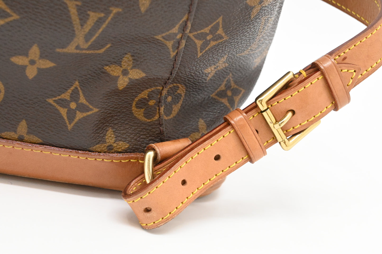 Louis Vuitton Montsouris MM in Monogram Canvas