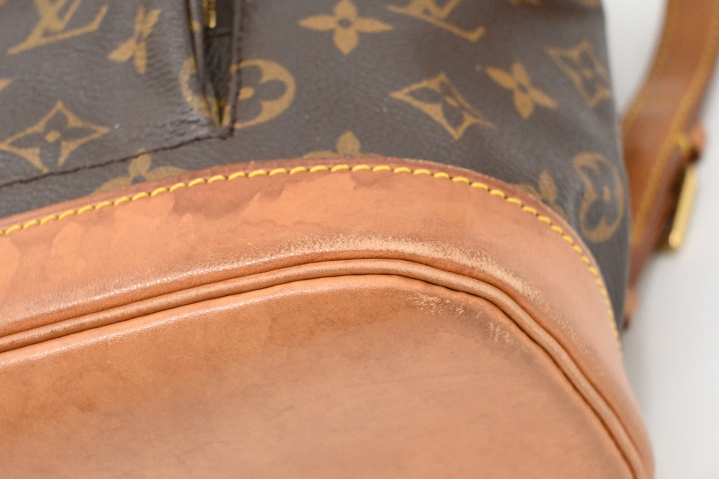 Louis Vuitton Montsouris MM in Monogram Canvas