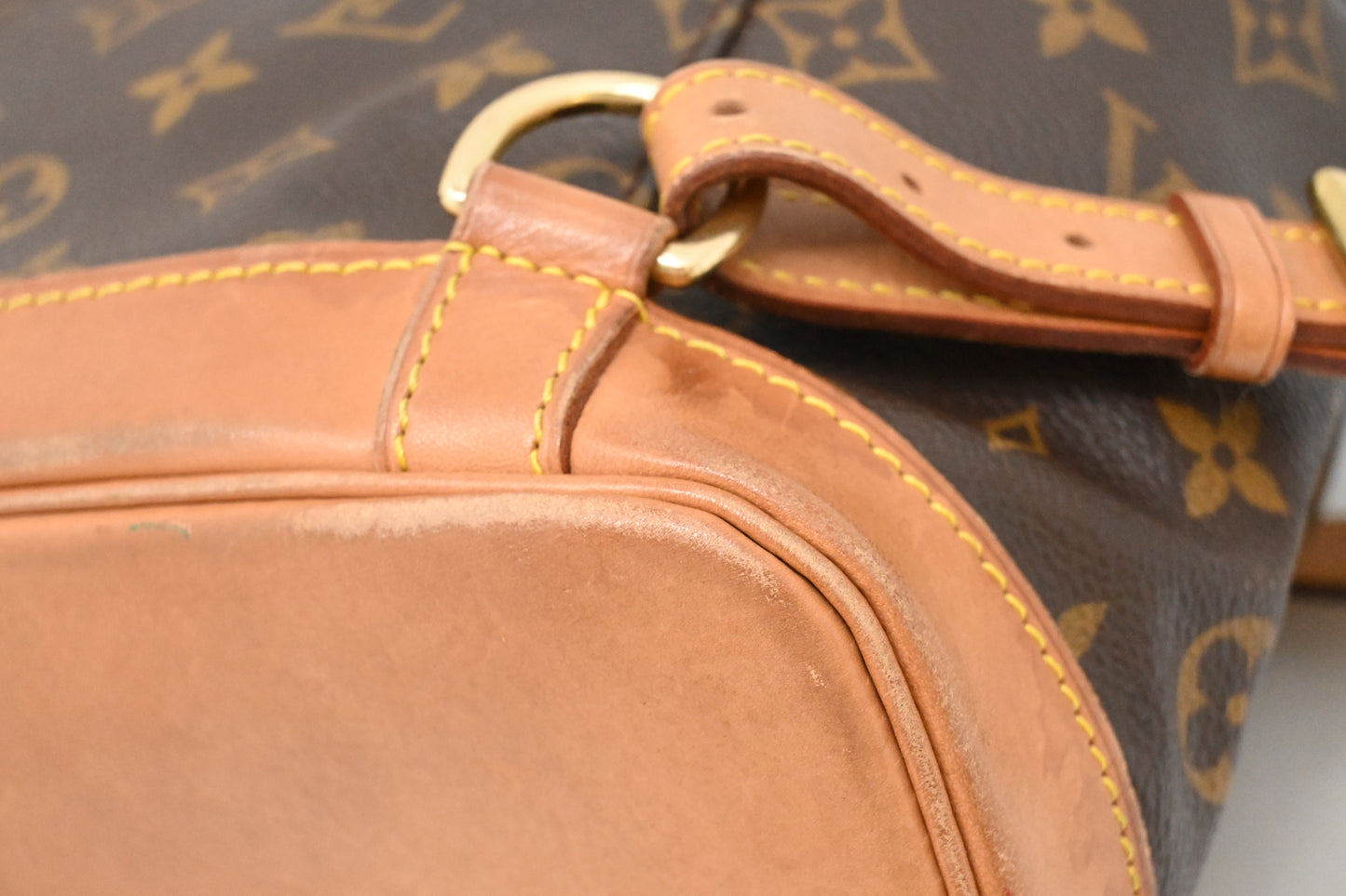 Louis Vuitton Montsouris MM in Monogram Canvas