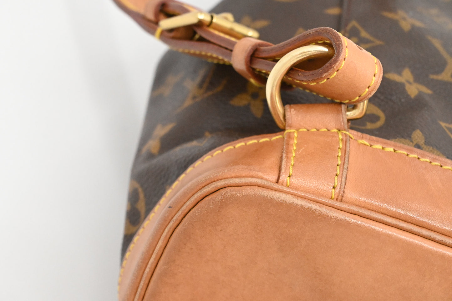 Louis Vuitton Montsouris MM in Monogram Canvas