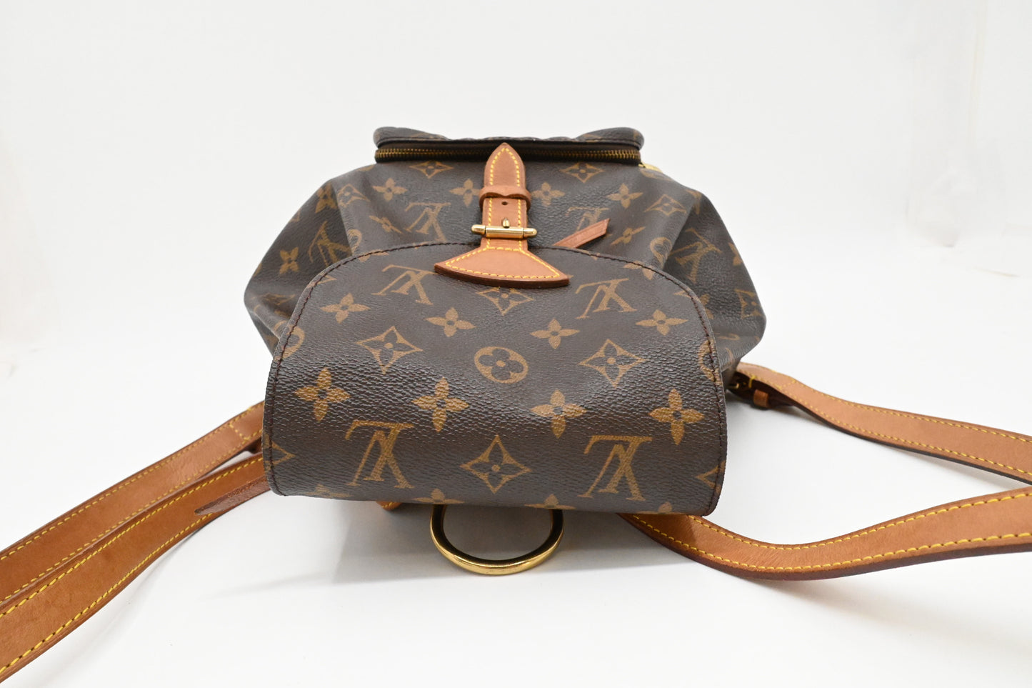 Louis Vuitton Montsouris MM in Monogram Canvas