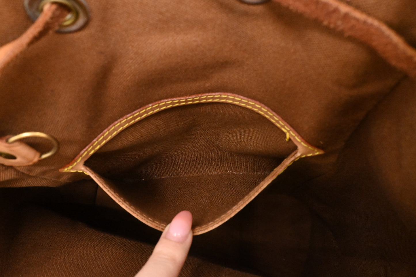 Louis Vuitton Montsouris MM in Monogram Canvas