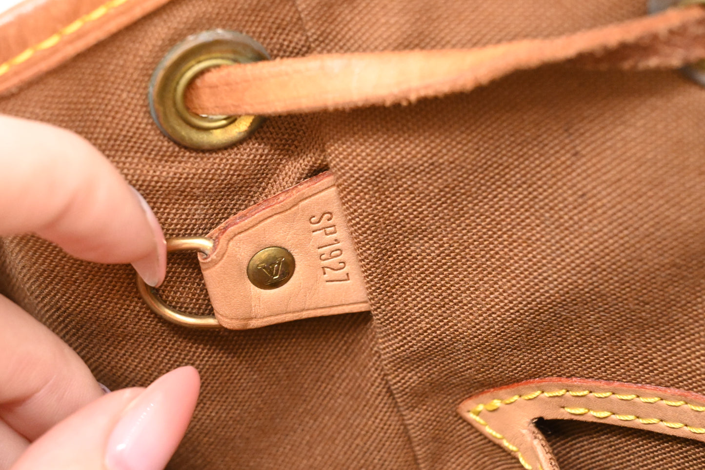 Louis Vuitton Montsouris MM in Monogram Canvas