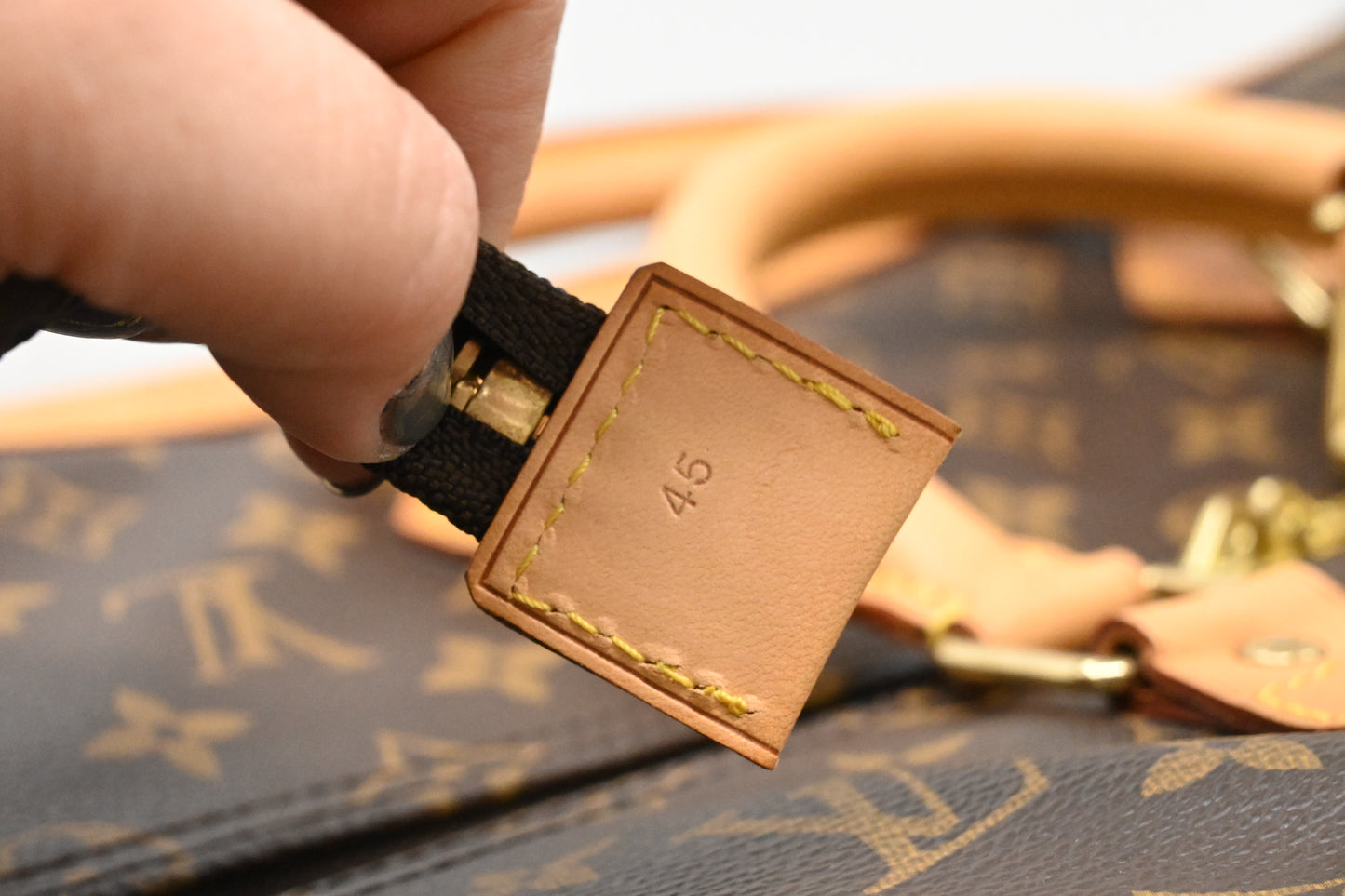 Louis Vuitton Cruiser 45 in Monogram Canvas