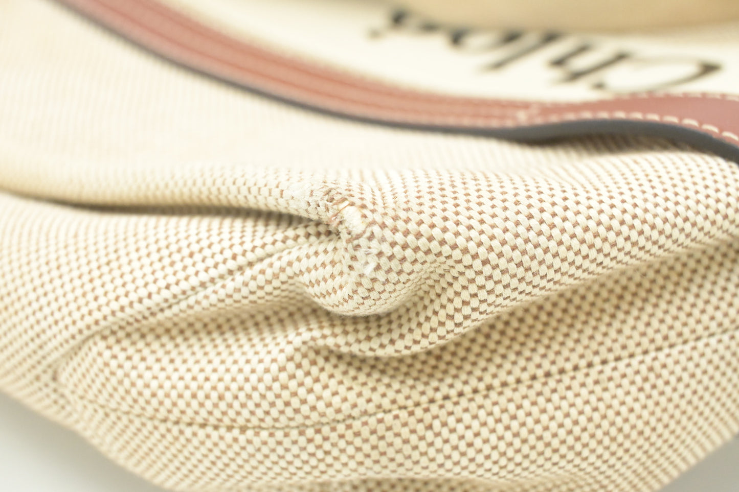 Chloe Medium Woody Tote in Beige Canvas