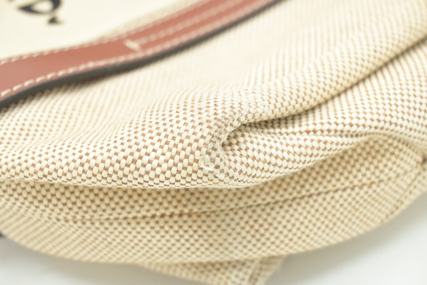 Chloe Medium Woody Tote in Beige Canvas