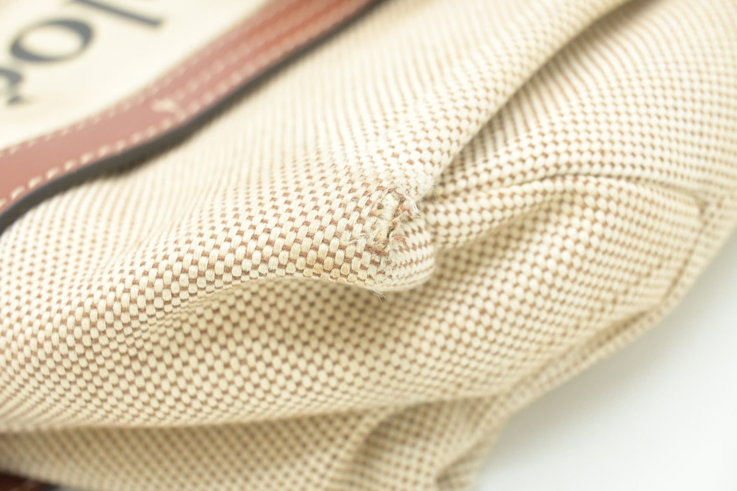 Chloe Medium Woody Tote in Beige Canvas