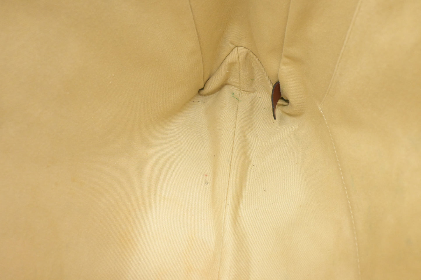 Chloe Medium Woody Tote in Beige Canvas