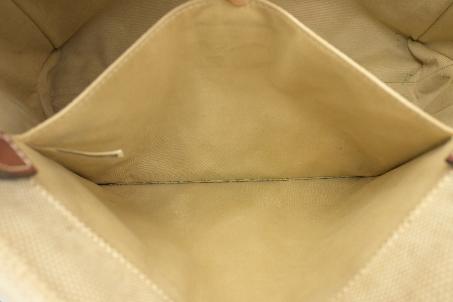 Chloe Medium Woody Tote in Beige Canvas