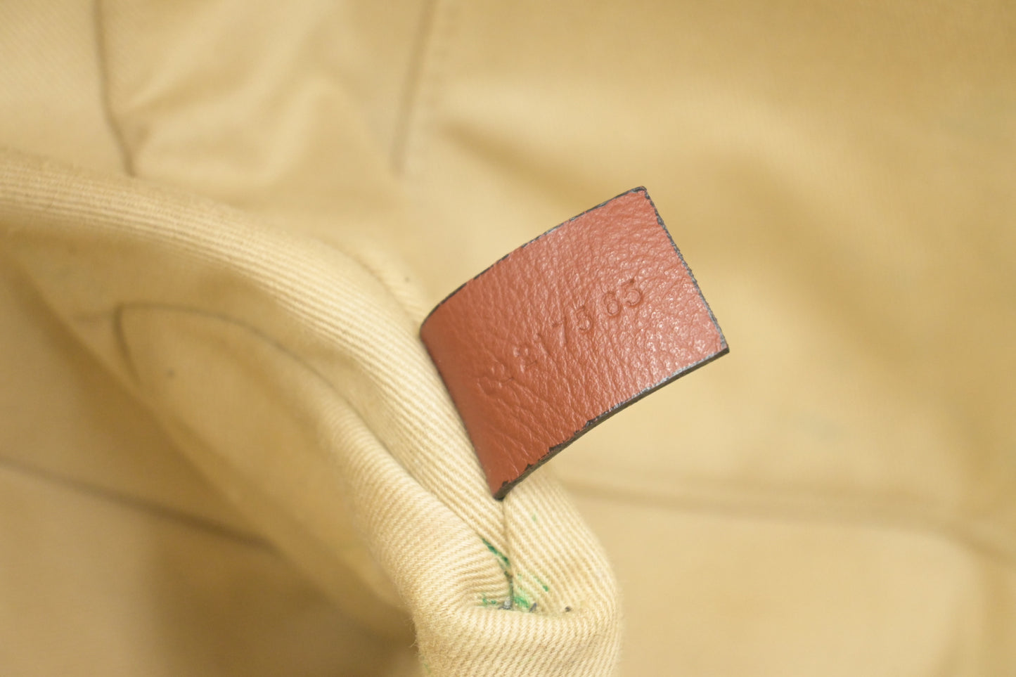 Chloe Medium Woody Tote in Beige Canvas