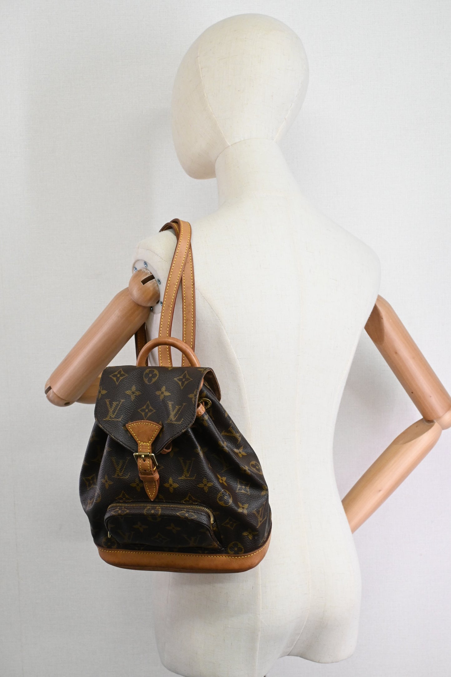 Louis Vuitton Montsouris PM in Monogram Canvas