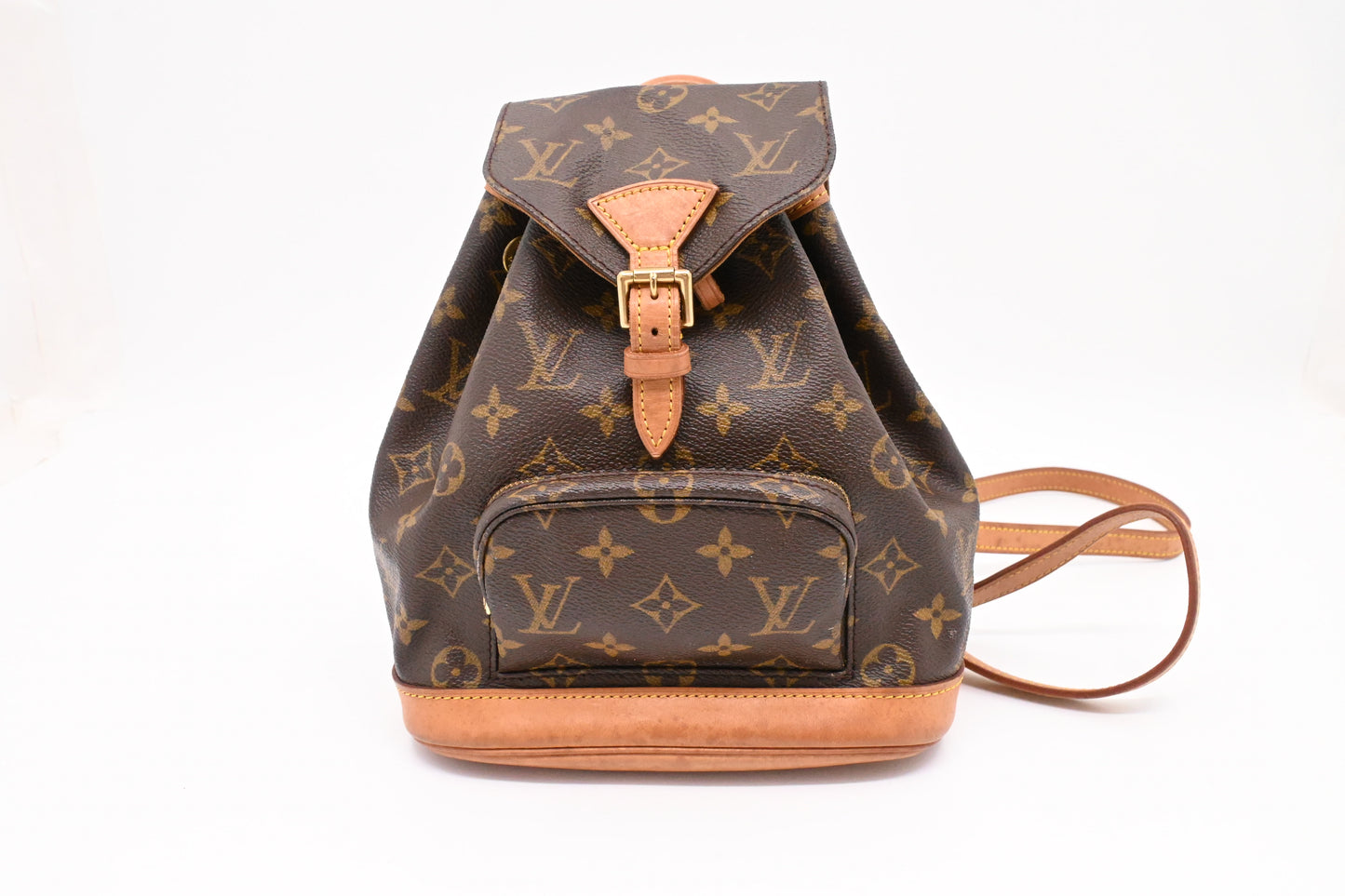Louis Vuitton Montsouris PM in Monogram Canvas