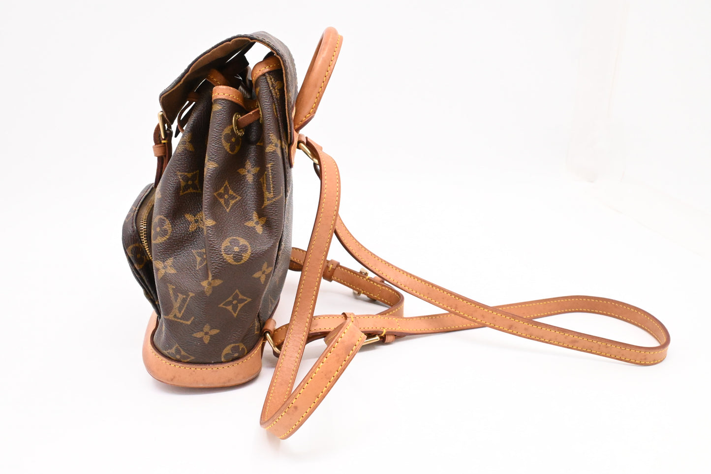 Louis Vuitton Montsouris PM in Monogram Canvas
