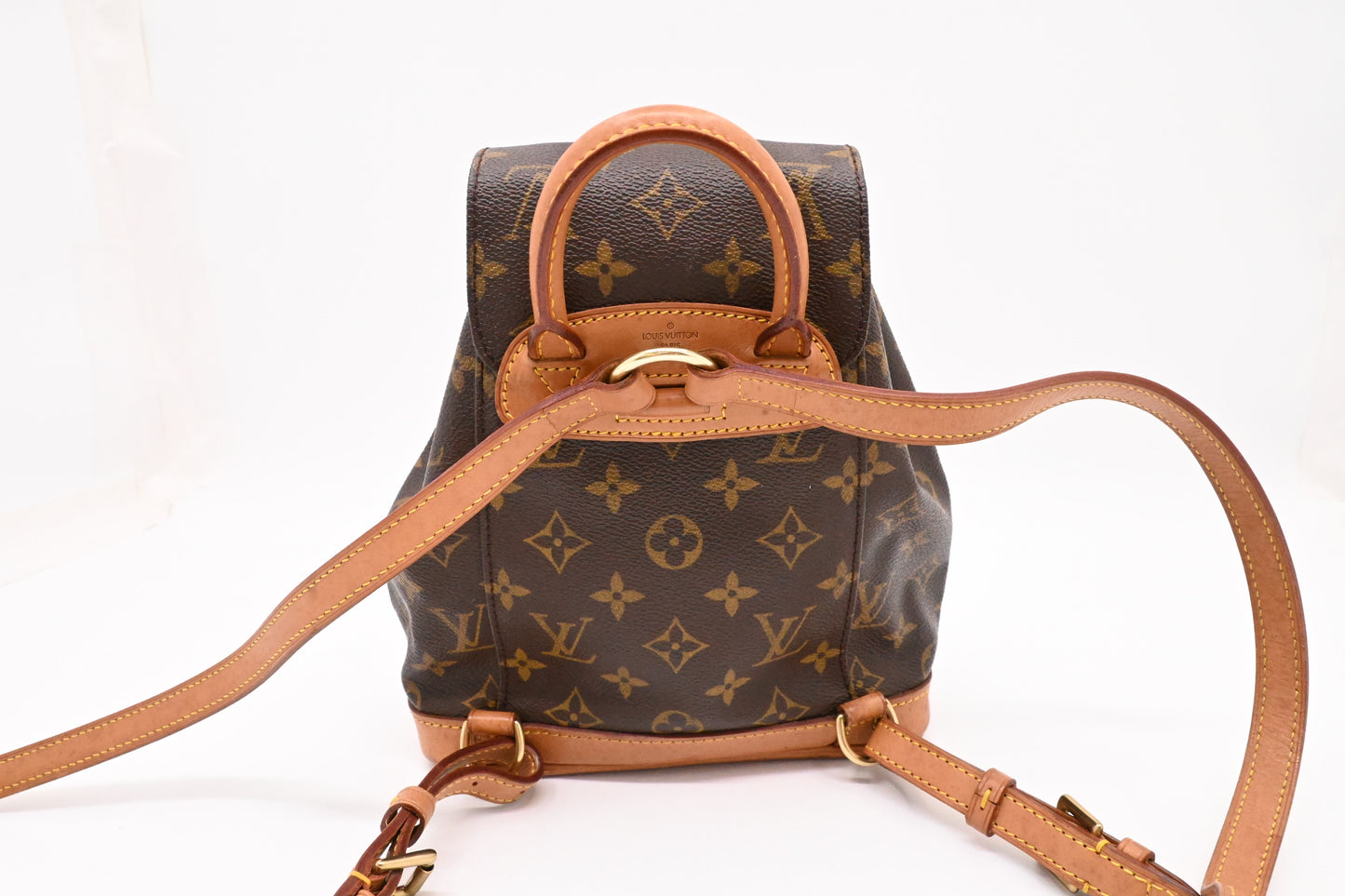 Louis Vuitton Montsouris PM in Monogram Canvas