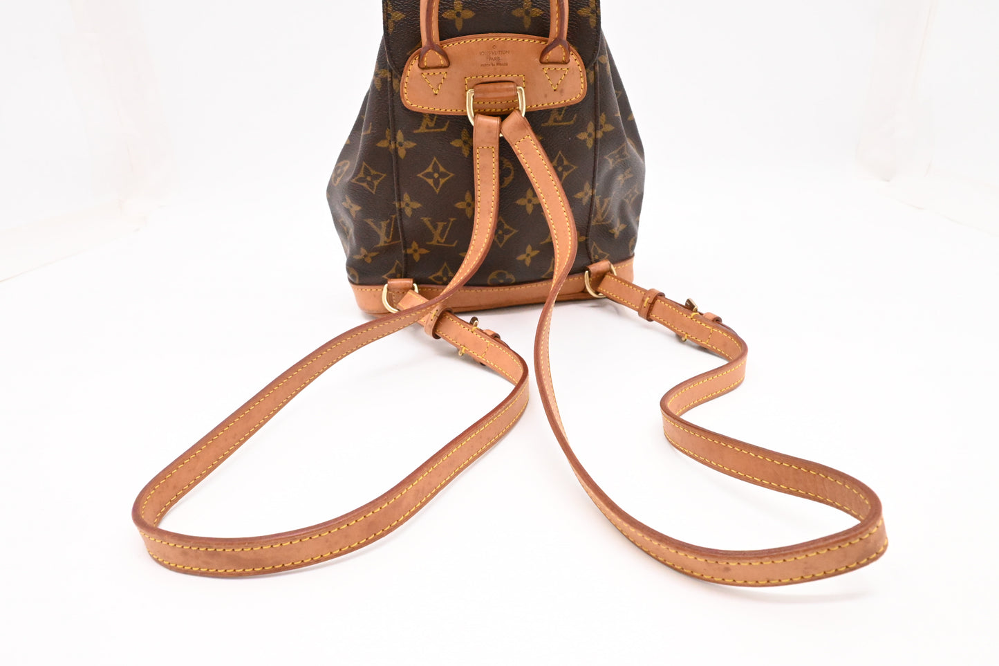 Louis Vuitton Montsouris PM in Monogram Canvas
