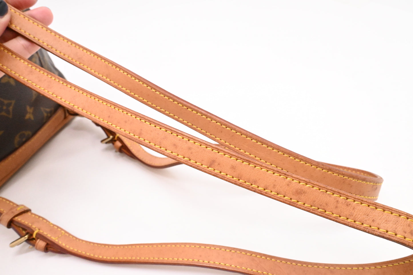 Louis Vuitton Montsouris PM in Monogram Canvas