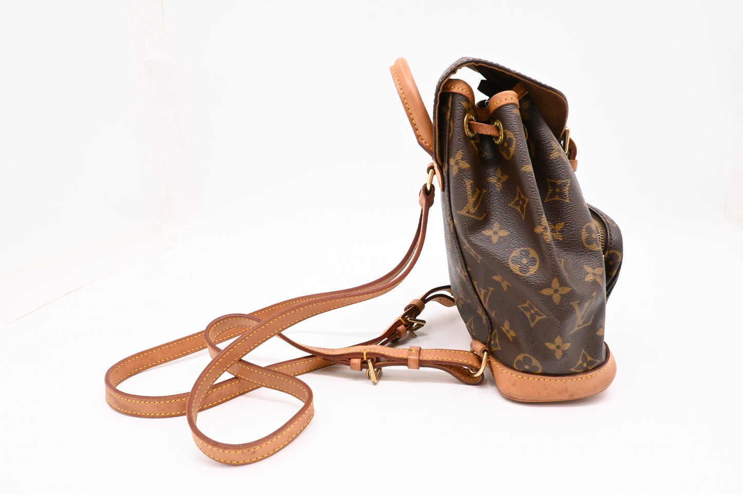 Louis Vuitton Montsouris PM in Monogram Canvas