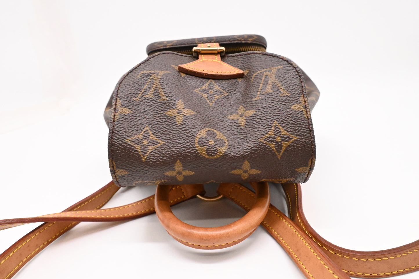 Louis Vuitton Montsouris PM in Monogram Canvas