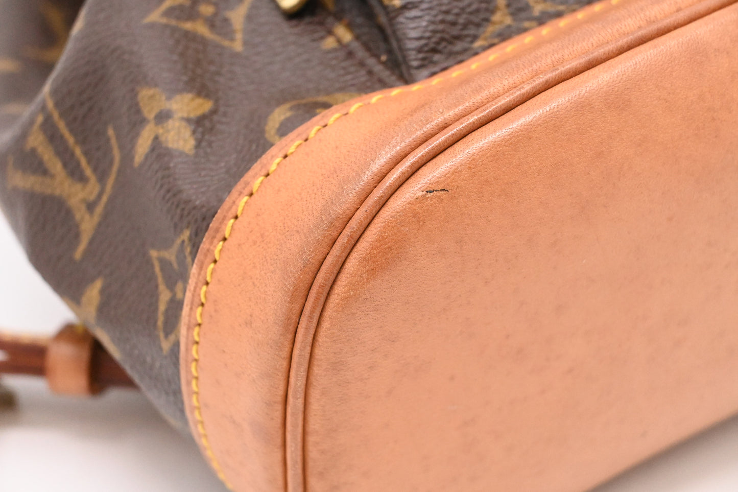 Louis Vuitton Montsouris PM in Monogram Canvas