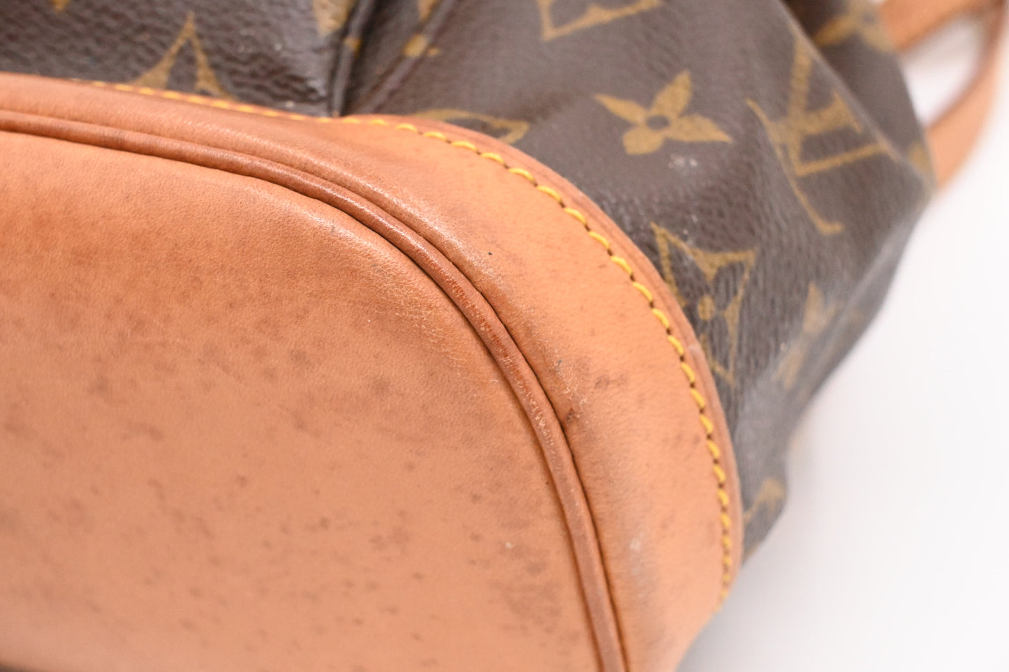 Louis Vuitton Montsouris PM in Monogram Canvas