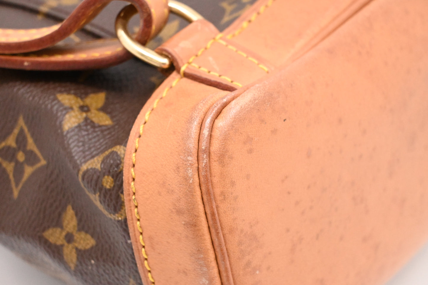 Louis Vuitton Montsouris PM in Monogram Canvas