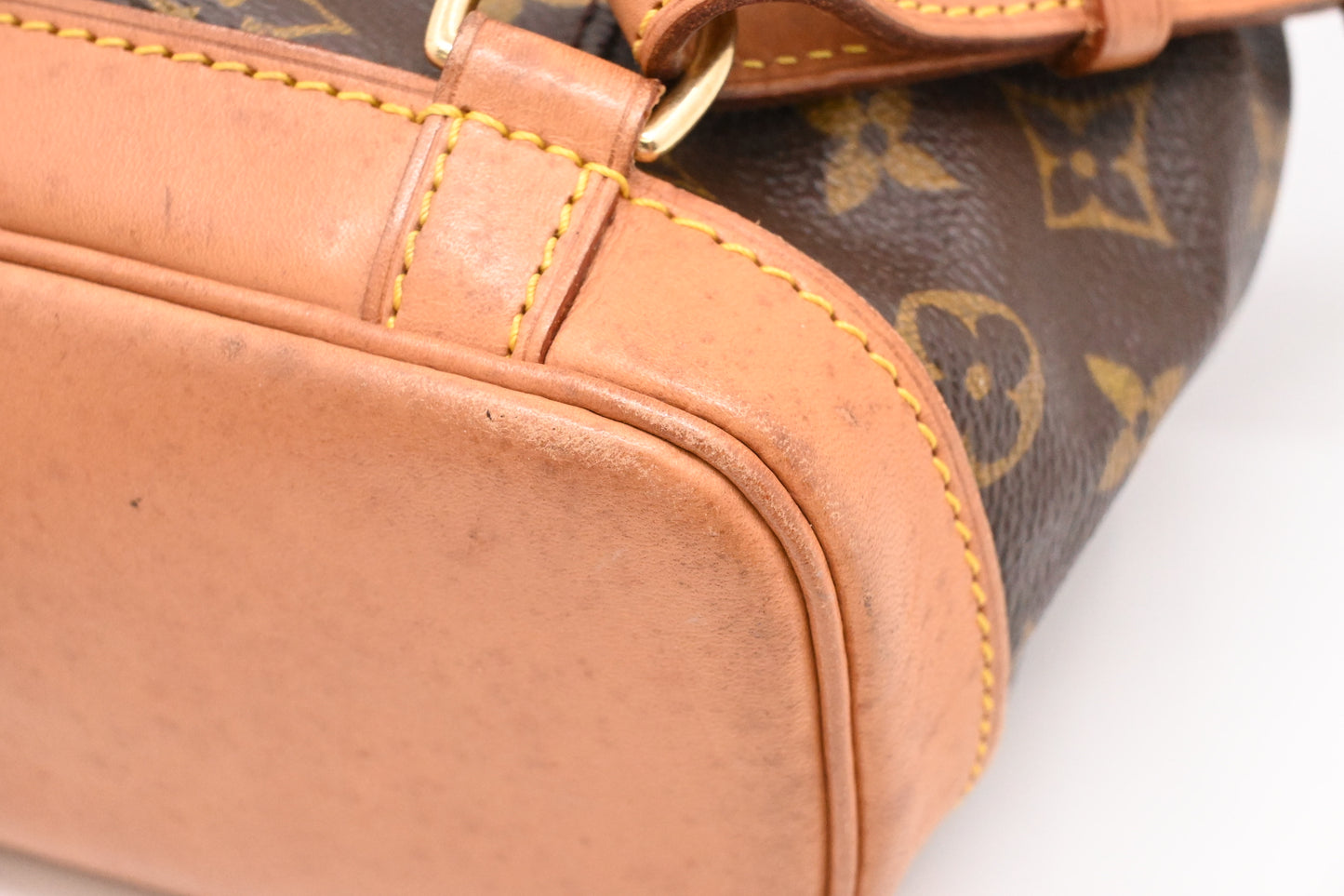 Louis Vuitton Montsouris PM in Monogram Canvas