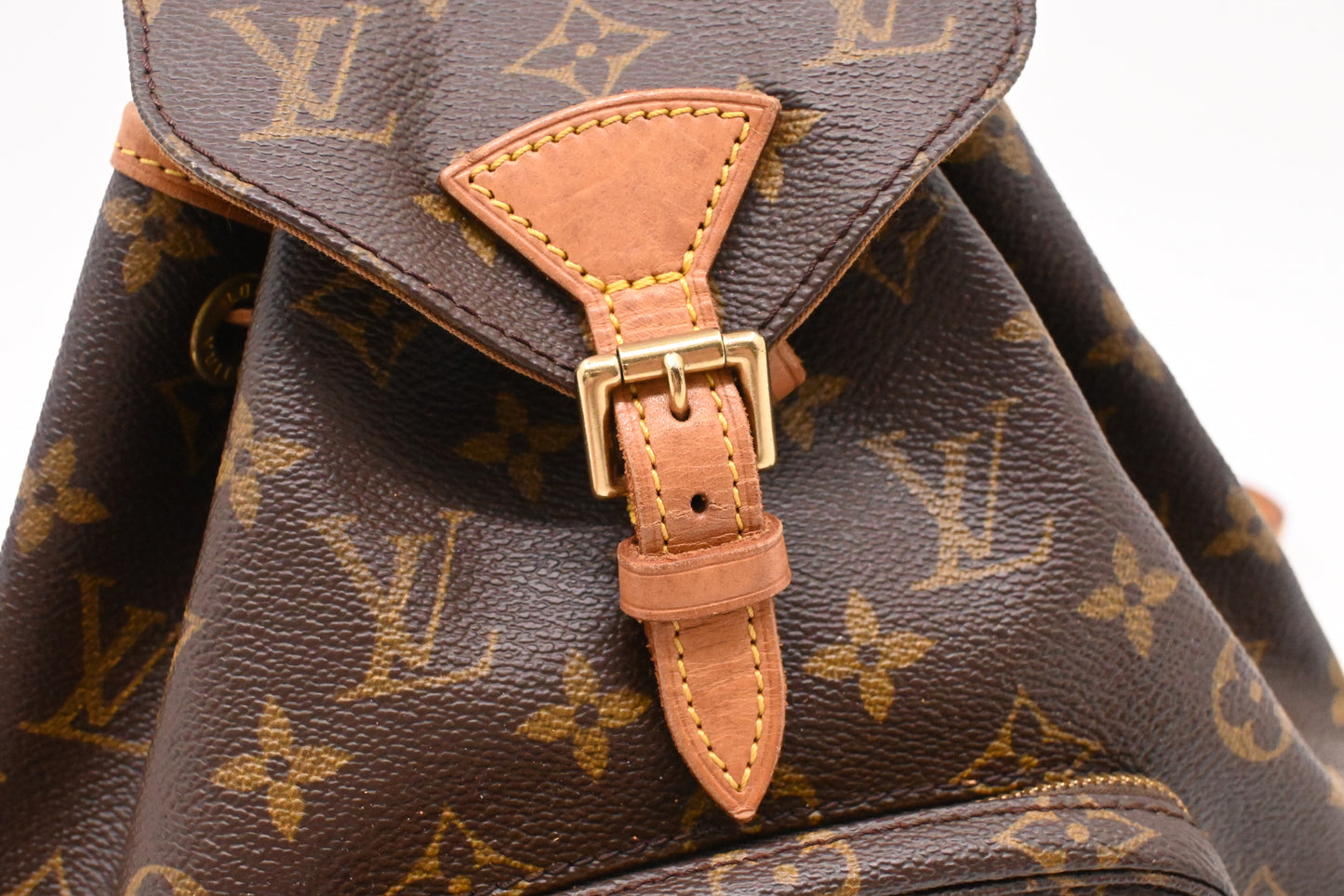 Louis Vuitton Montsouris PM in Monogram Canvas