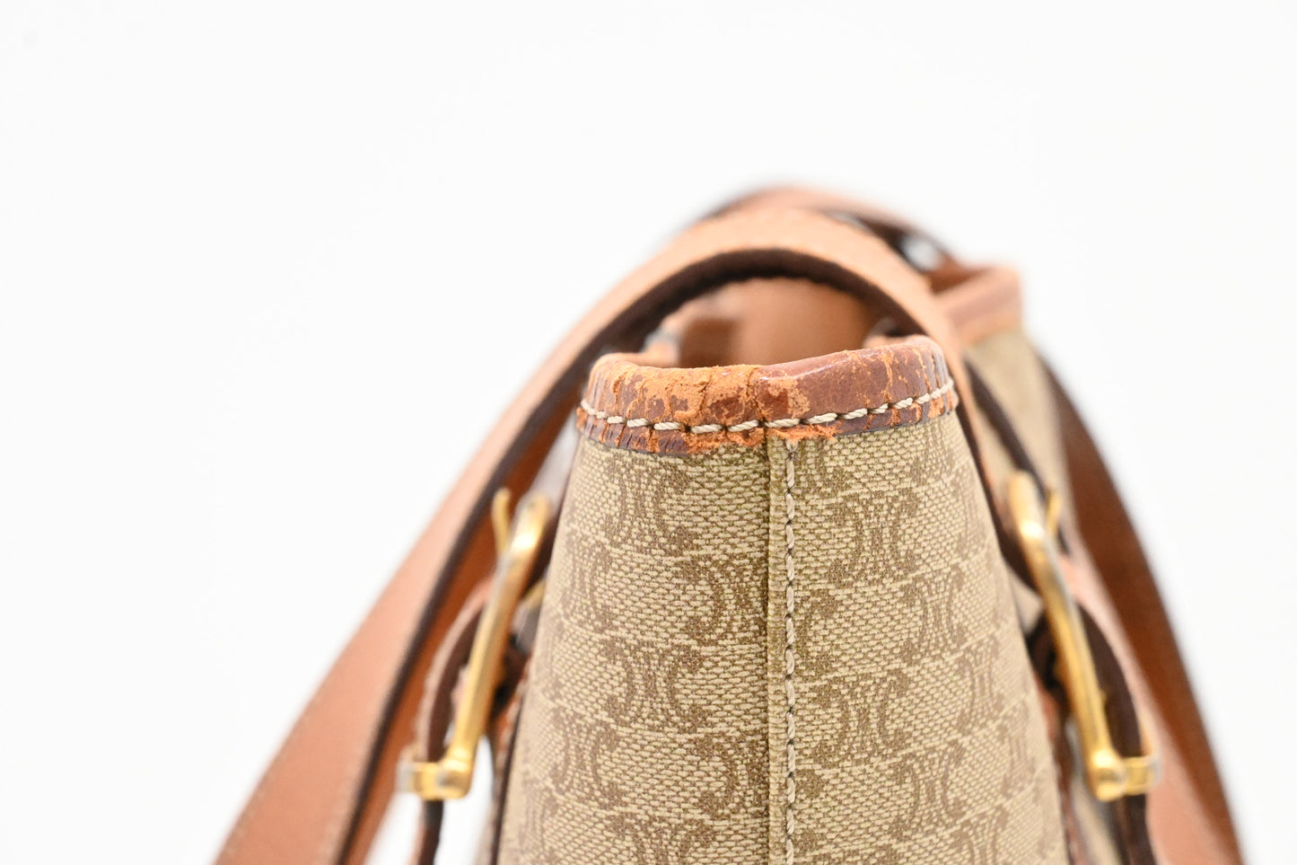 Celine Bucket Bag in Beige Macadam Canvas