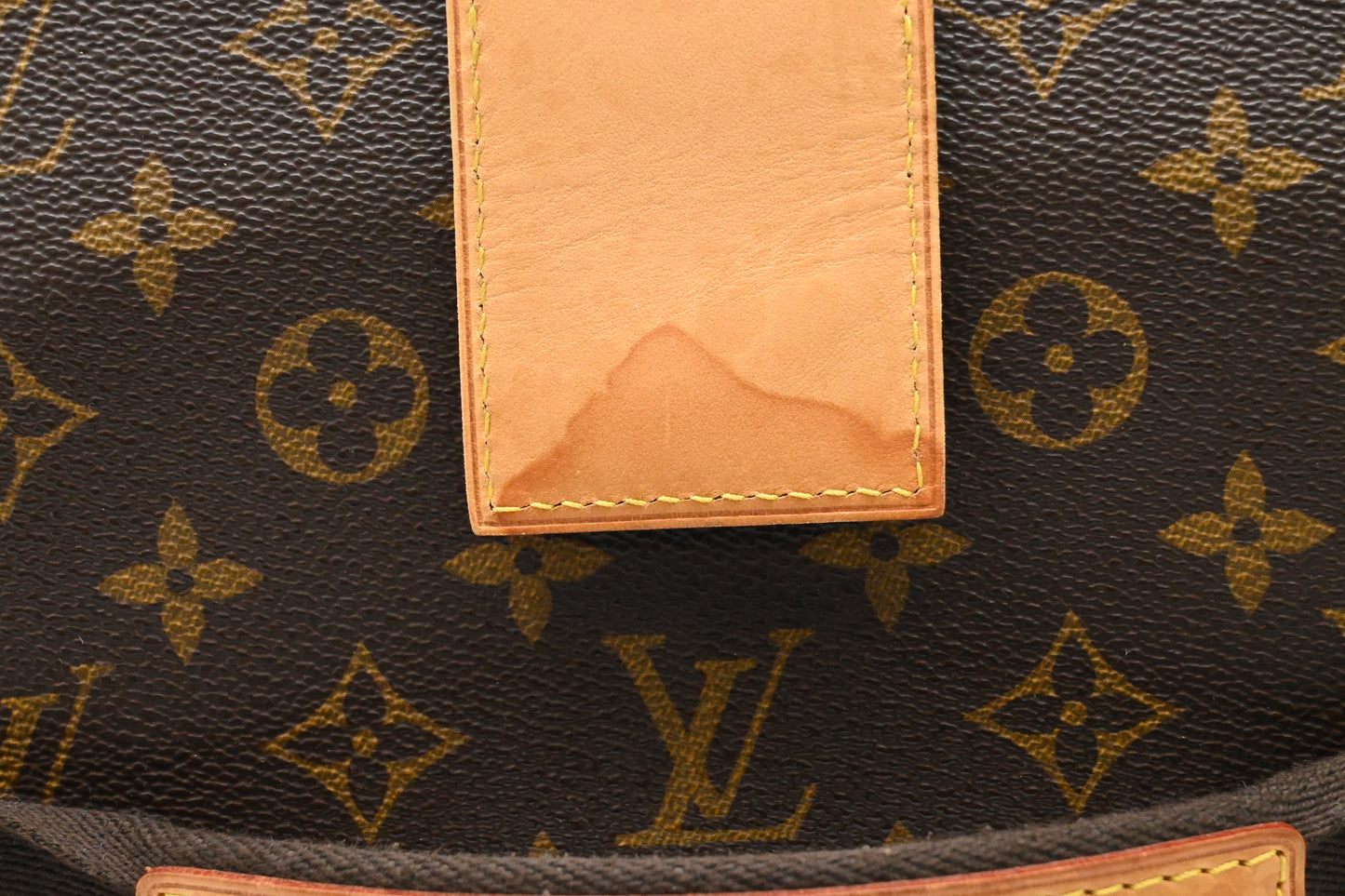 Louis Vuitton Neo Eole 65 in Monogram Canvas