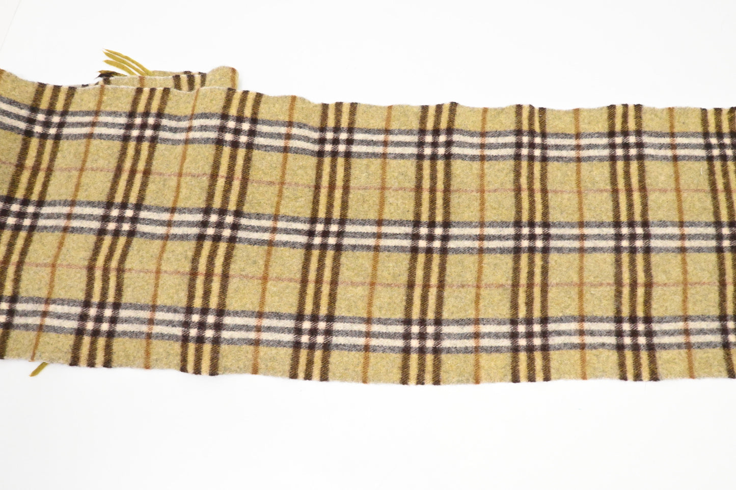 Burberry Scarf in Green Cashmere