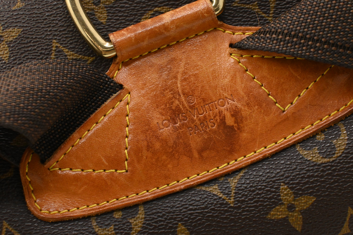 Louis Vuitton Montsouris GM in Monogram Canvas