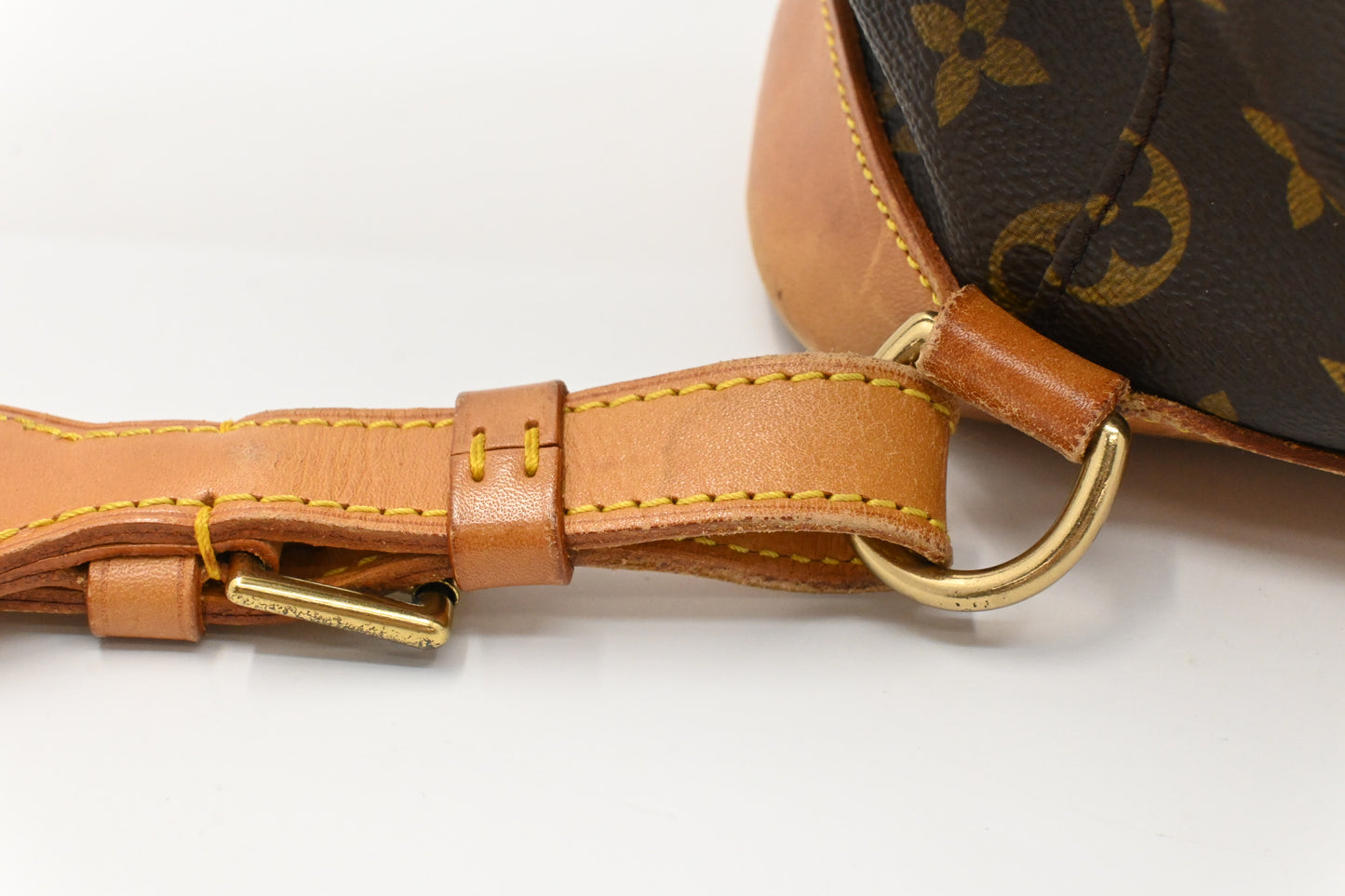 Louis Vuitton Montsouris GM in Monogram Canvas