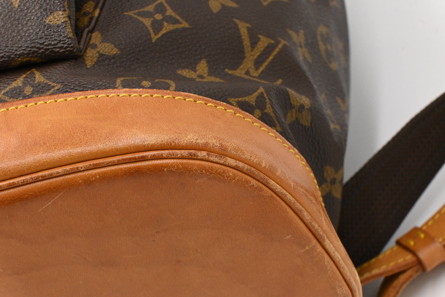 Louis Vuitton Montsouris GM in Monogram Canvas