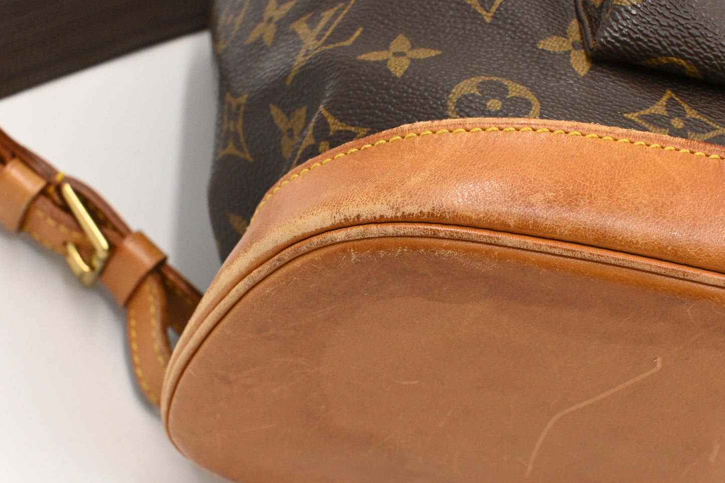 Louis Vuitton Montsouris GM in Monogram Canvas