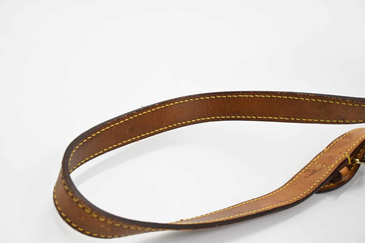 Louis Vuitton Montsouris MM in Monogram Canvas