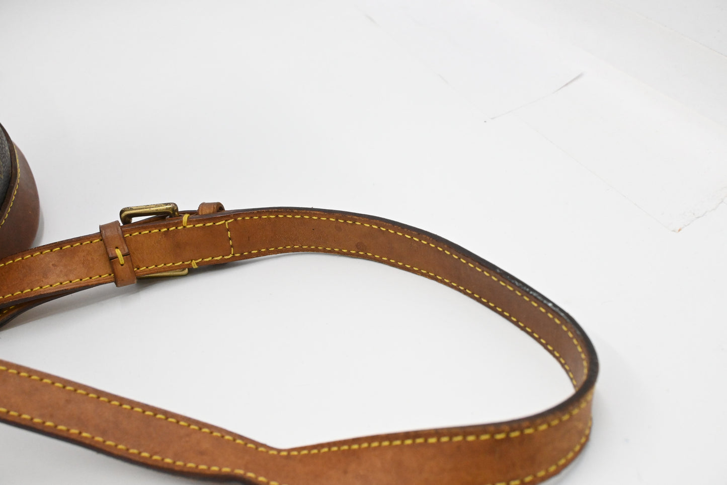 Louis Vuitton Montsouris MM in Monogram Canvas