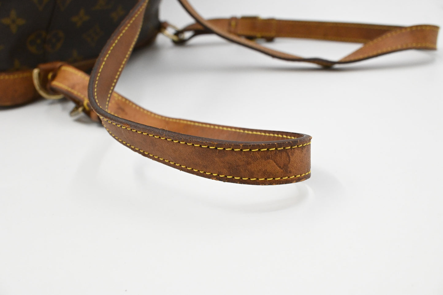 Louis Vuitton Montsouris MM in Monogram Canvas