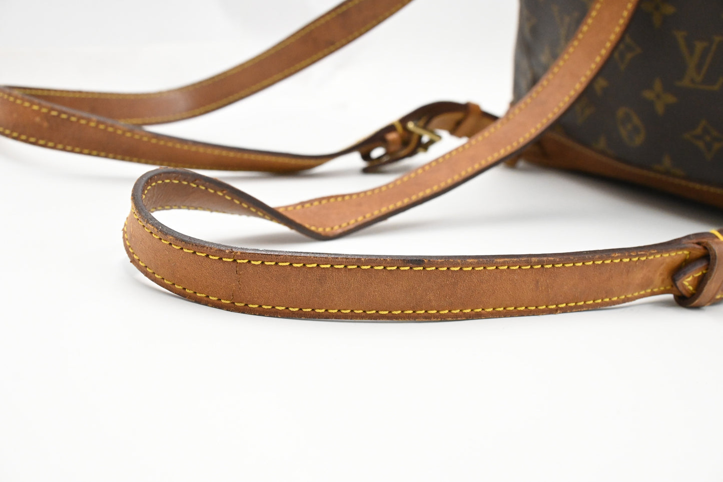 Louis Vuitton Montsouris MM in Monogram Canvas
