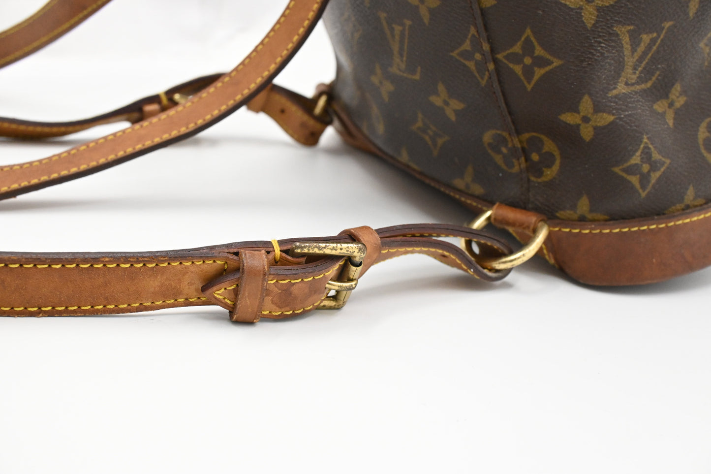 Louis Vuitton Montsouris MM in Monogram Canvas