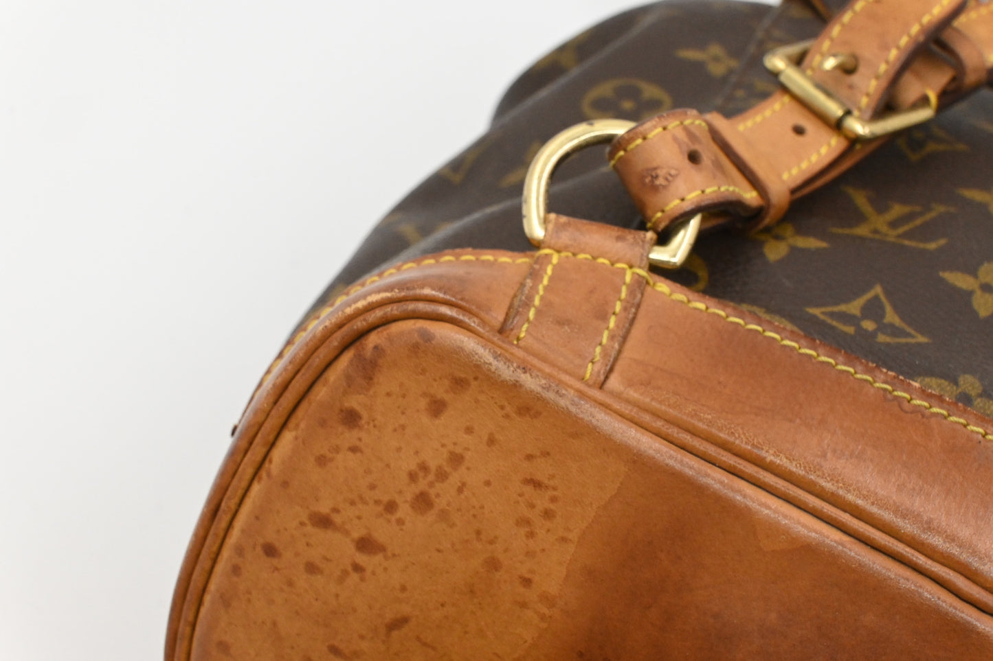 Louis Vuitton Montsouris MM in Monogram Canvas