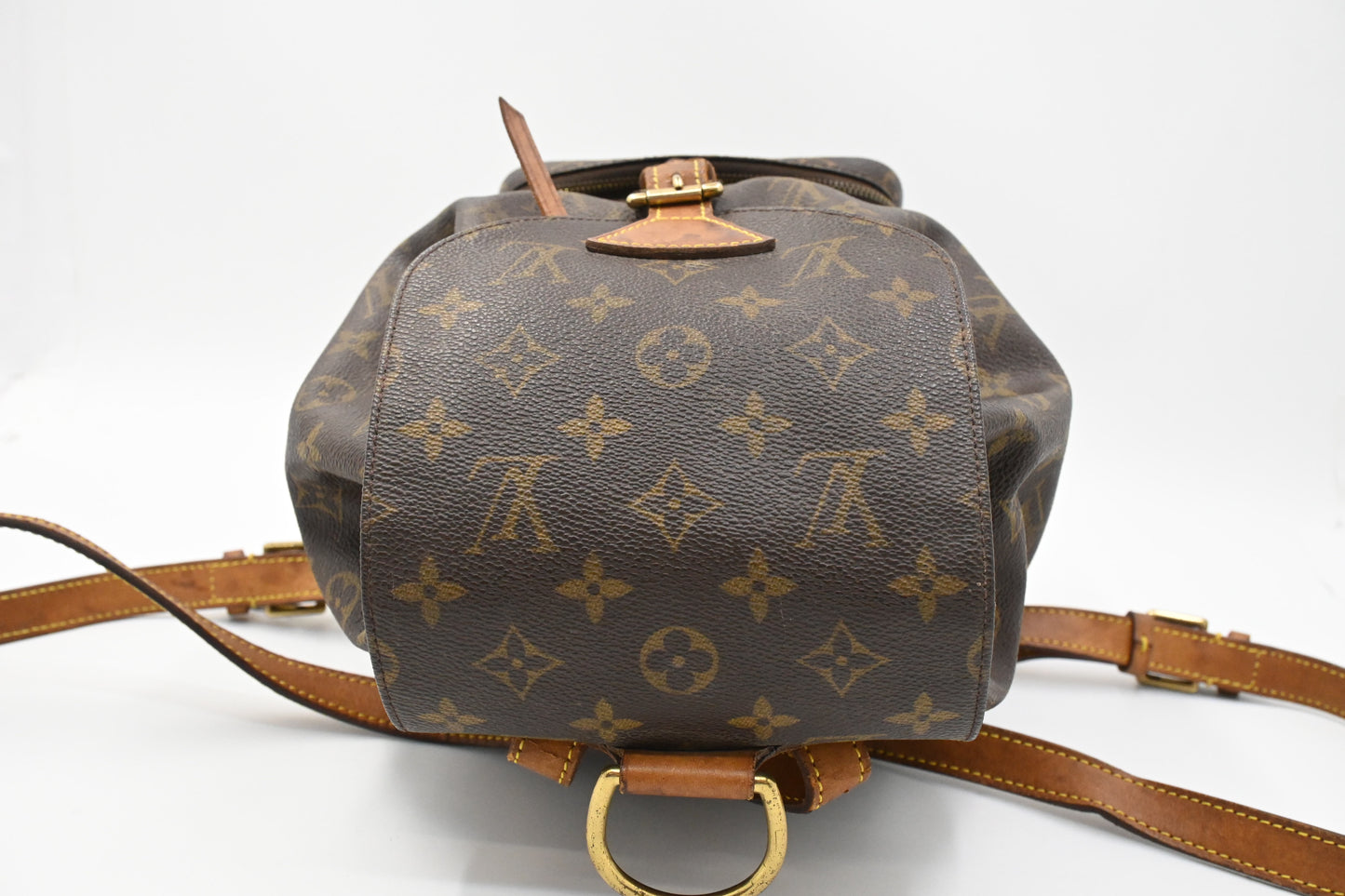 Louis Vuitton Montsouris MM in Monogram Canvas