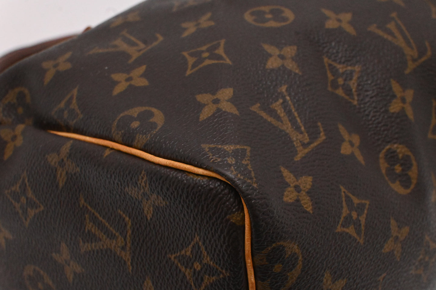 Louis Vuitton Speedy 25 in Monogram Canvas