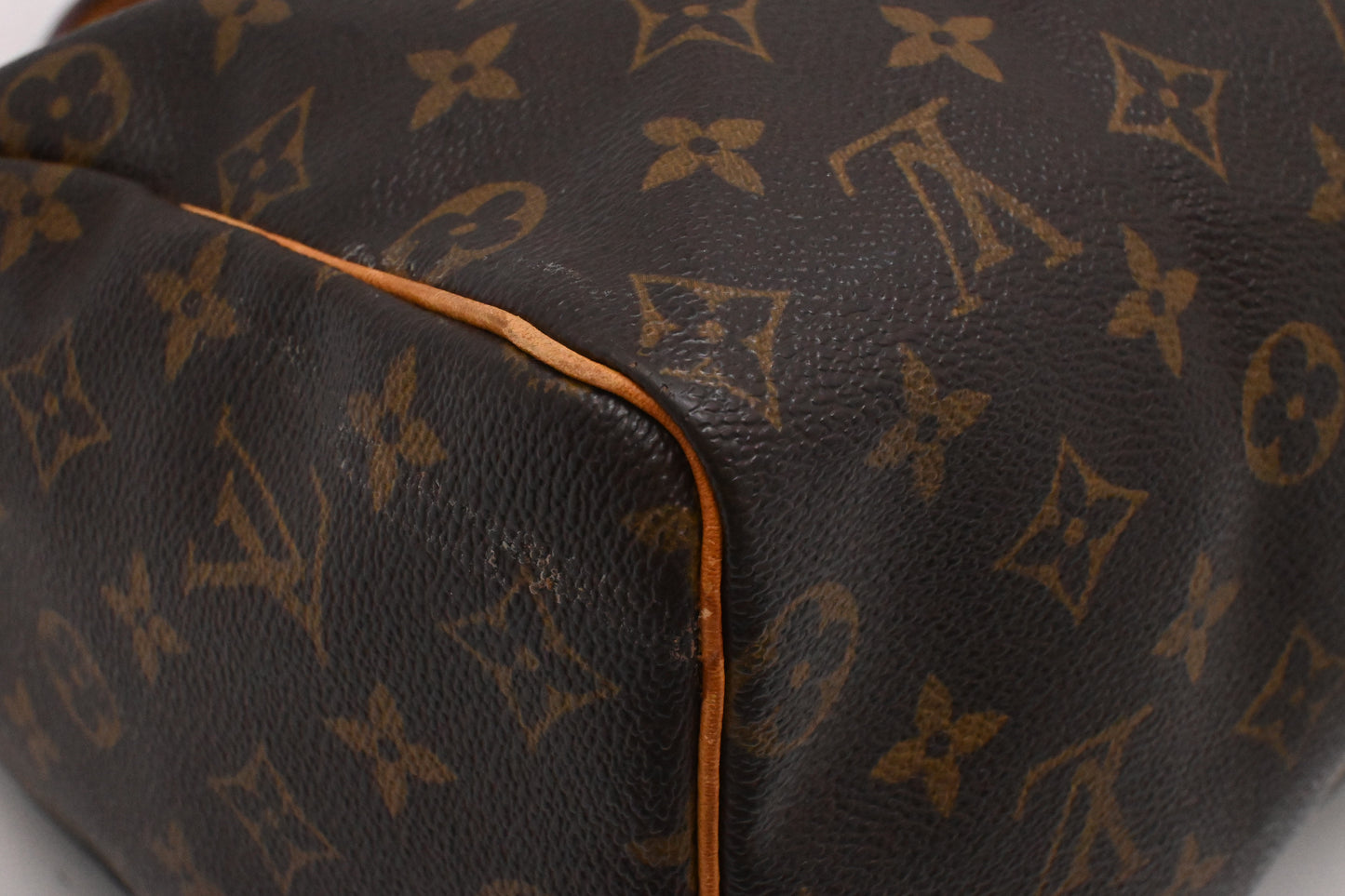 Louis Vuitton Speedy 25 in Monogram Canvas