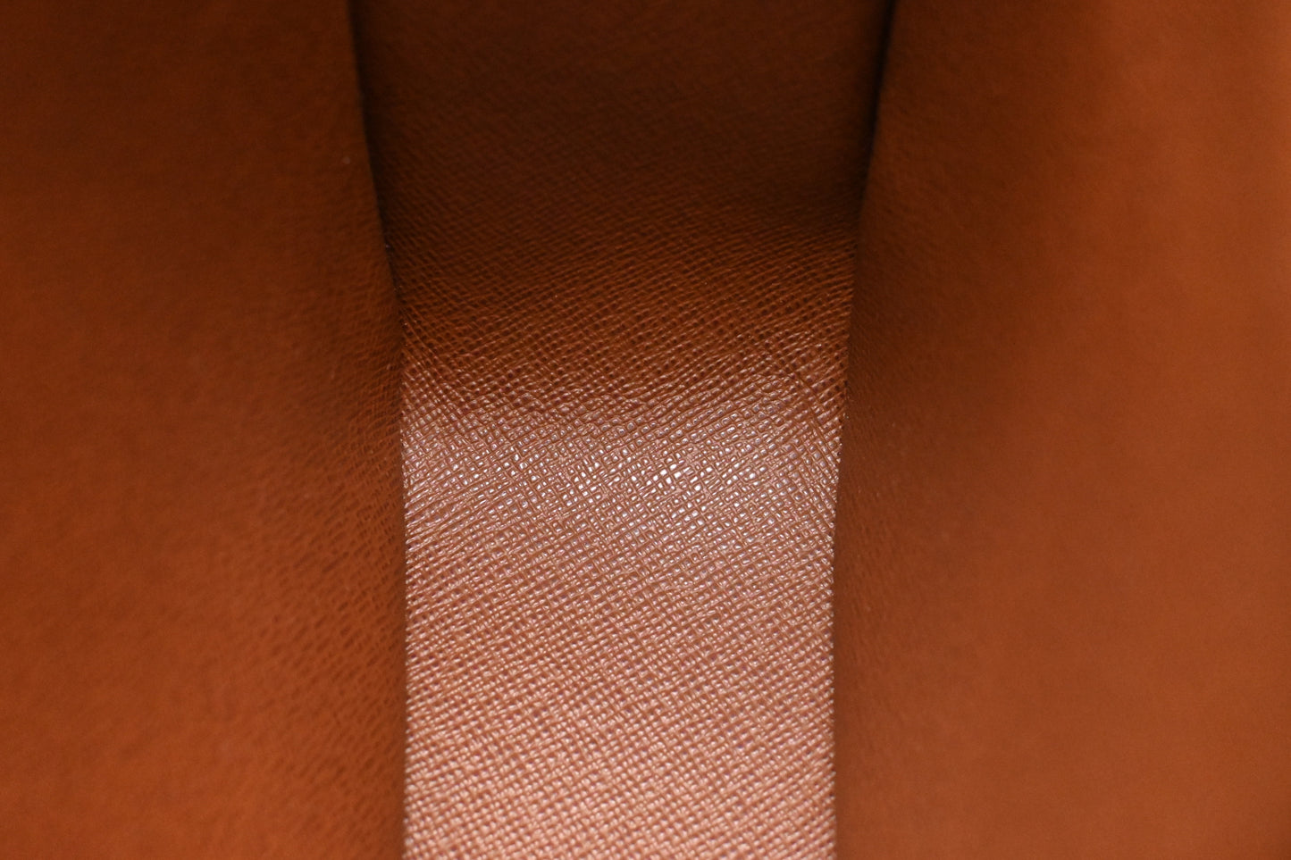 Louis Vuitton Nile in Monogram Canvas